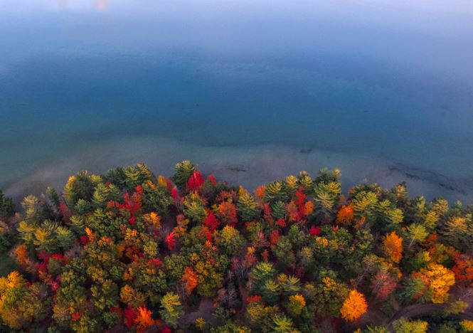 Michigan autumn foliage